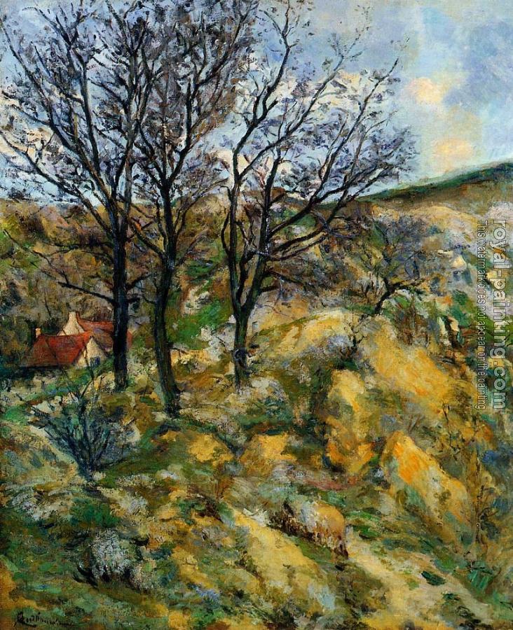 Armand Guillaumin : Landscape with Red Roofs